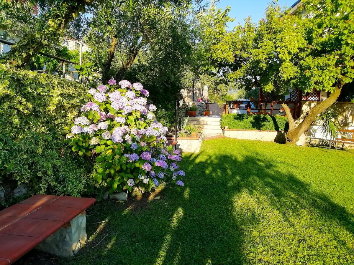 B&B Maison Villa Vittorio Avella Exteriör bild